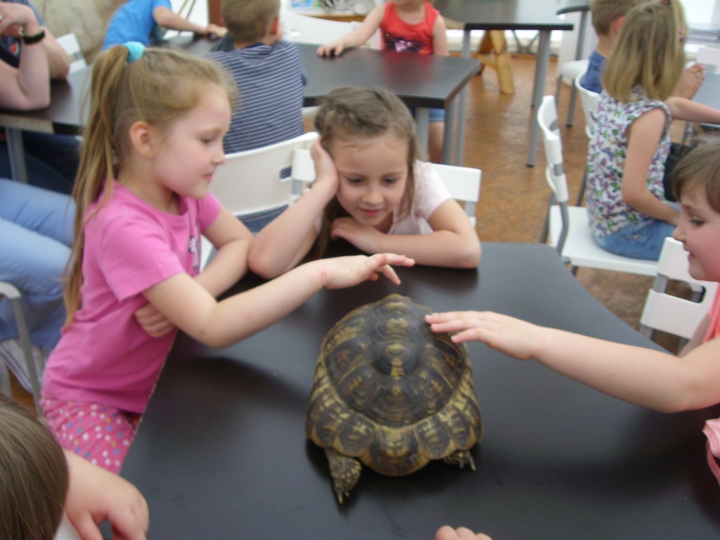 na wycieczce w zoo safari 6 20170605 1861331261