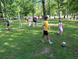 img_7445