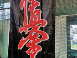 img_20251004_101738_resized_20251004_083104415